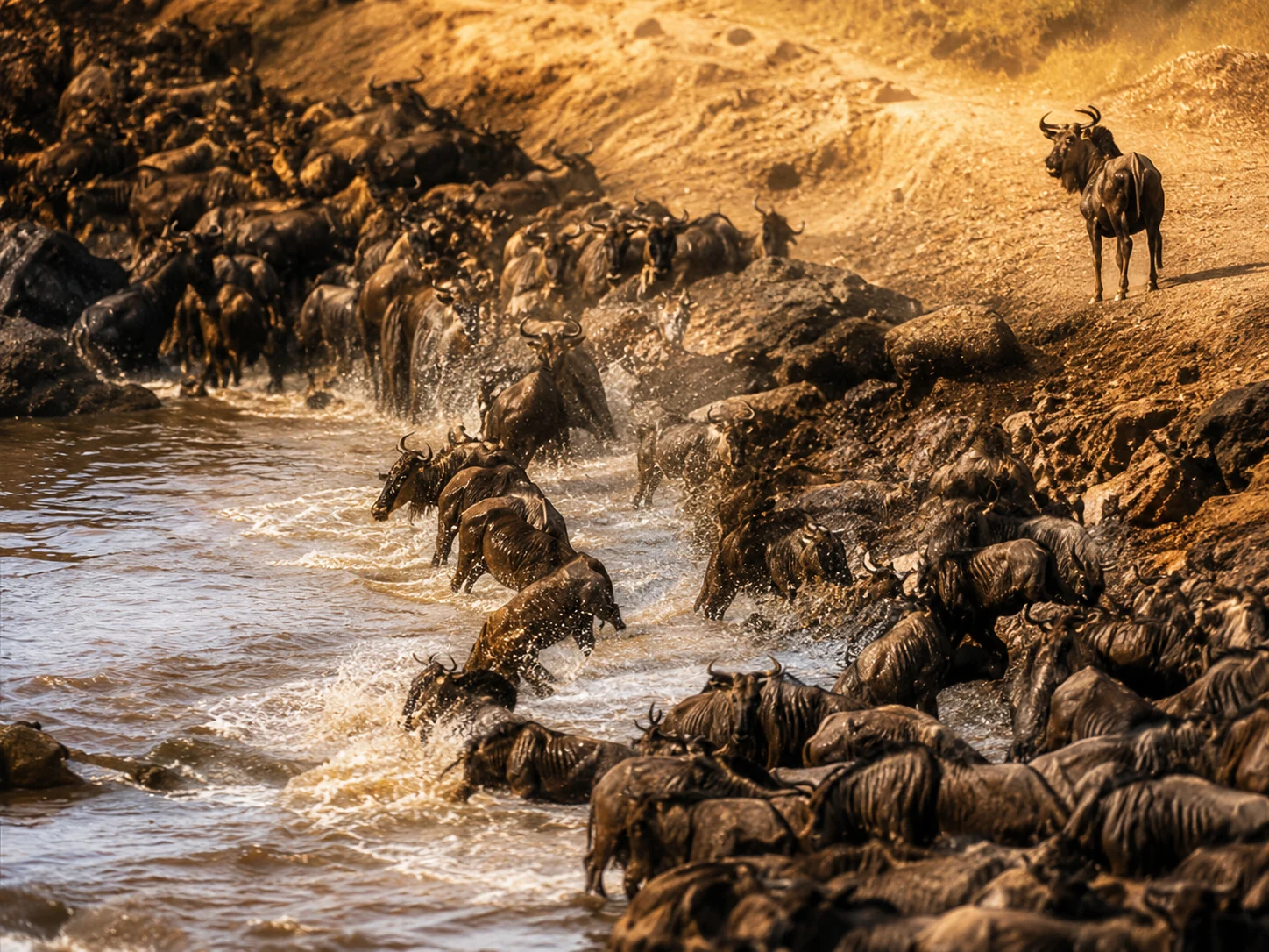 3-Day Samburu Safari photograph 2